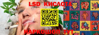 шишки Будённовск