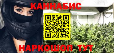 шишки Будённовск