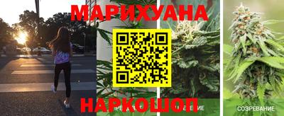 шишки Будённовск