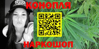 шишки Будённовск