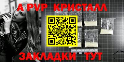 шишки Будённовск