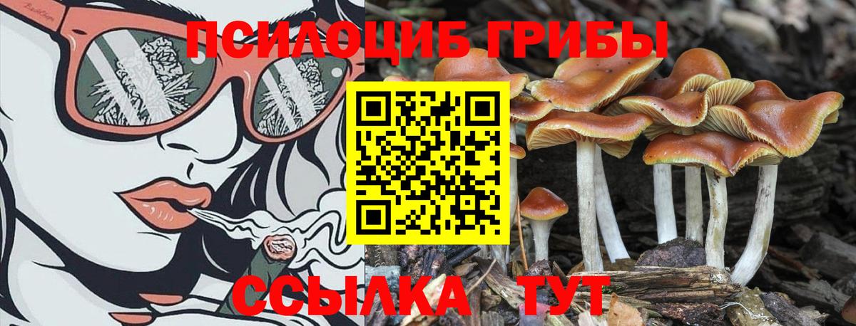 Псилоцибиновые грибы Magic Shrooms Фролово